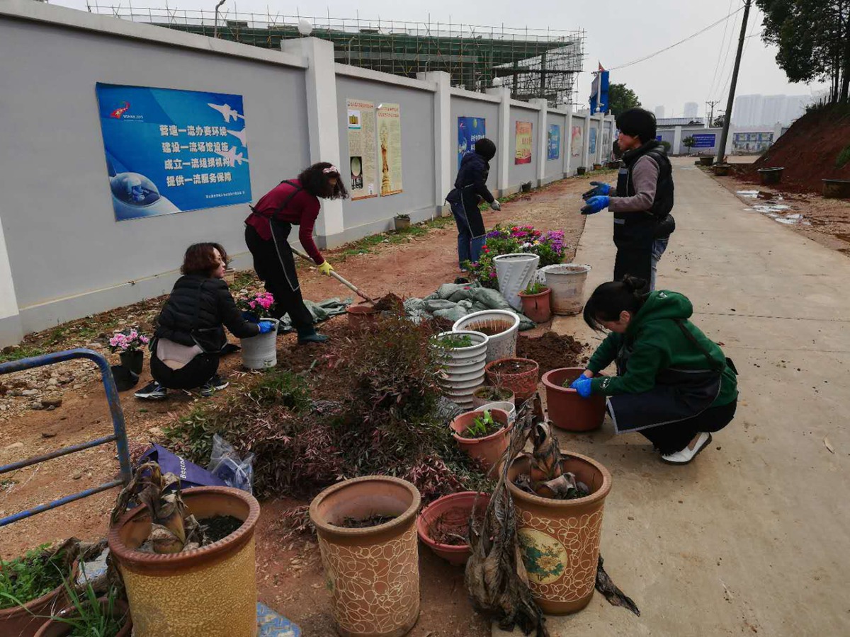 武汉莲华寺义工种植花草